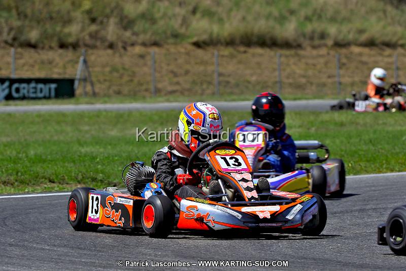 DSC_ (1516).jpg